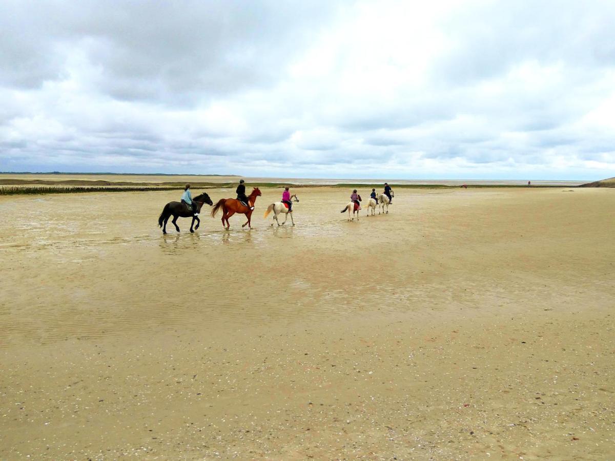 Maison Proche Des Immenses Plages De Berck Sur Mer A 1,8Km Des Plages Экстерьер фото